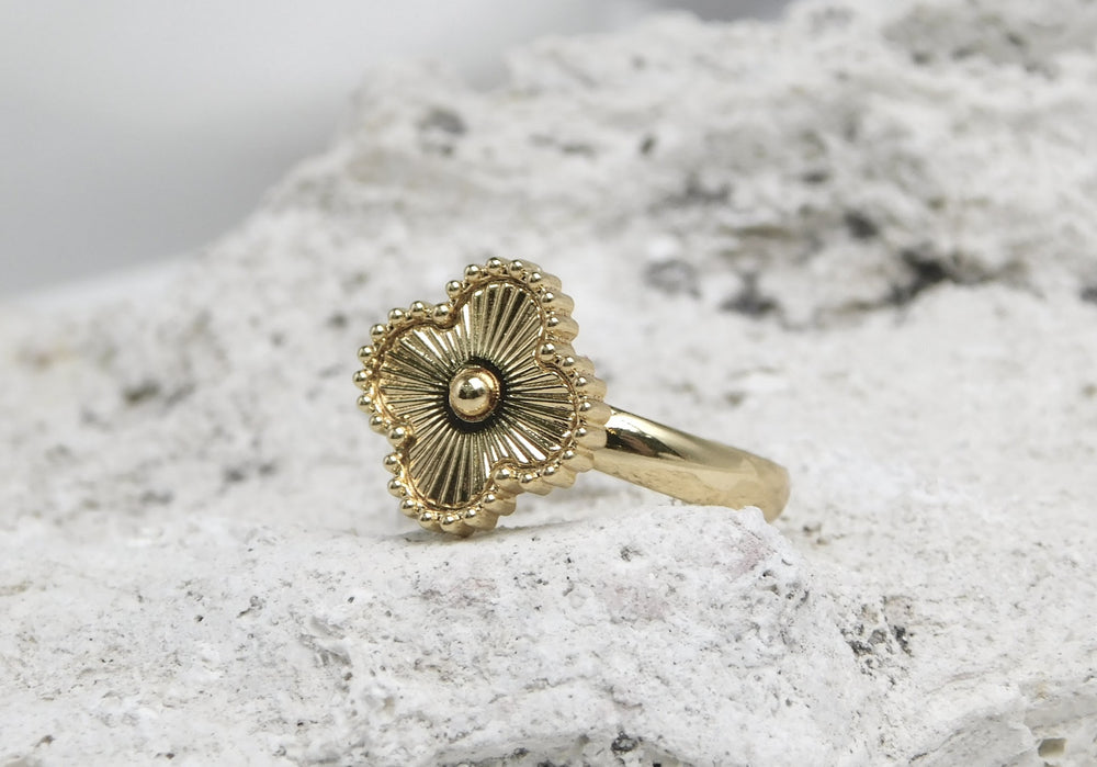 Anillo Nivelle