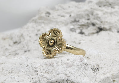 Anillo Nivelle