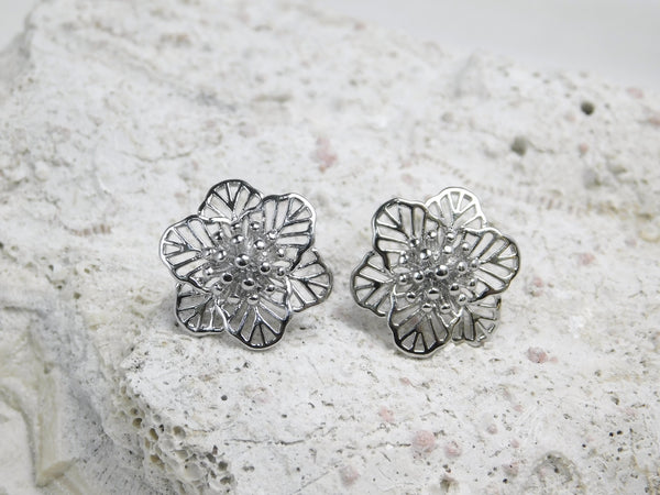 Aretes topo Vaelen