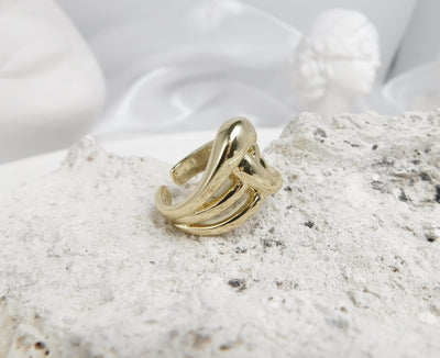 Anillo Vionne