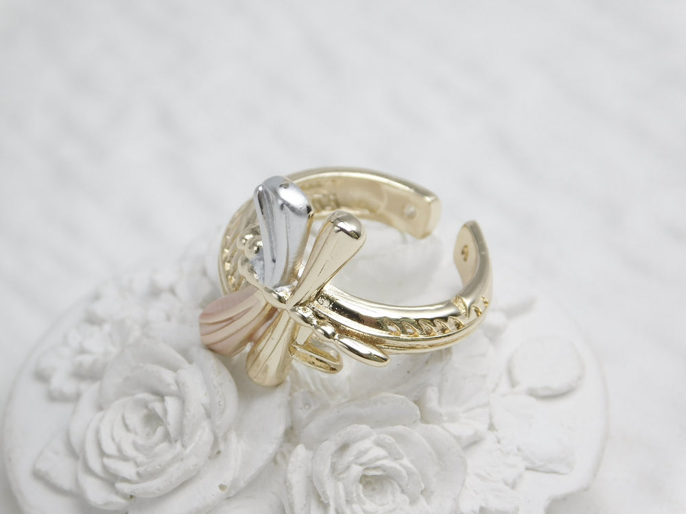 Anillo Fase