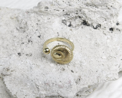 Anillo Avelisse