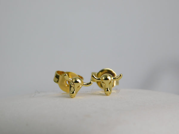Aretes topo Toro