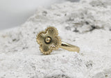 Anillo Nivelle