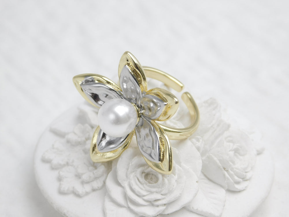 Anillo Maeles