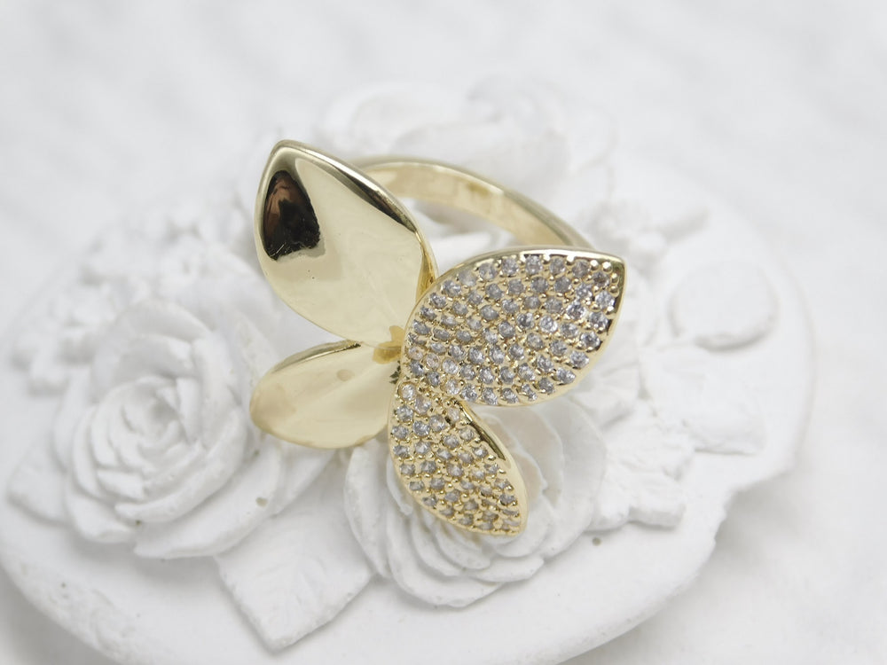 Anillo Astro
