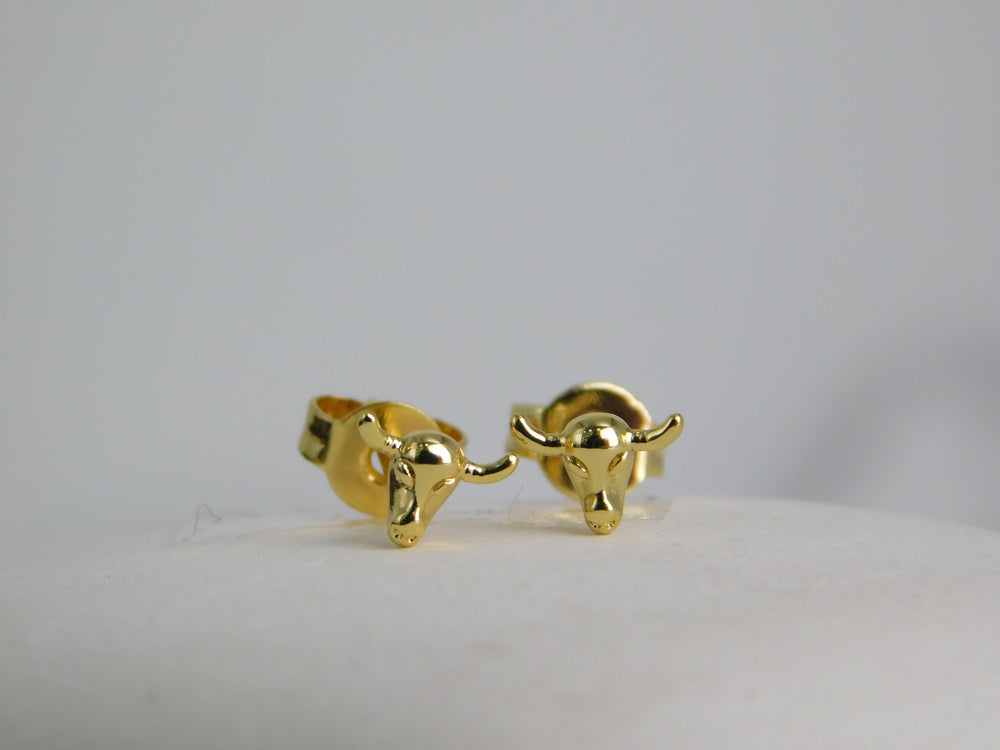 Aretes topo Toro